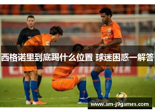 西格诺里到底踢什么位置 球迷困惑一解答