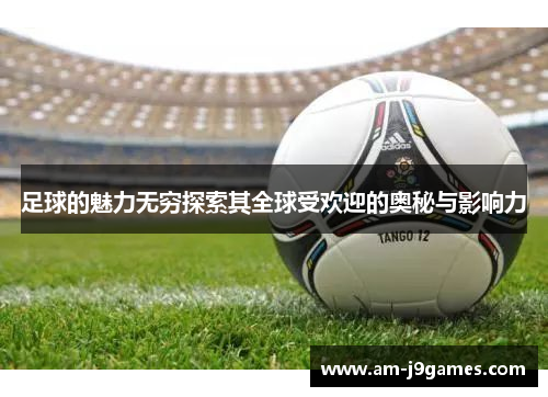 足球的魅力无穷探索其全球受欢迎的奥秘与影响力 足球的魅力无穷探索其全球受欢迎的奥秘与影响力