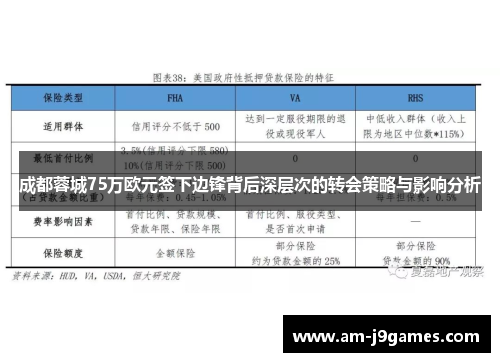 成都蓉城75万欧元签下边锋背后深层次的转会策略与影响分析
