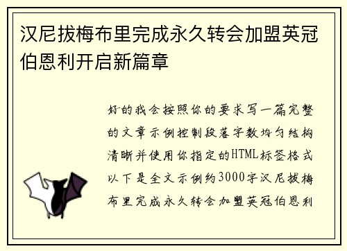 汉尼拔梅布里完成永久转会加盟英冠伯恩利开启新篇章